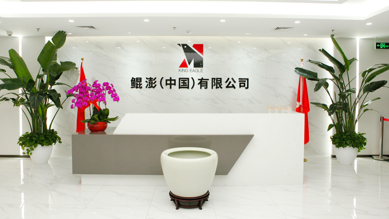 热烈欢迎金融调研组领导莅临鲲澎（中国）考察指导