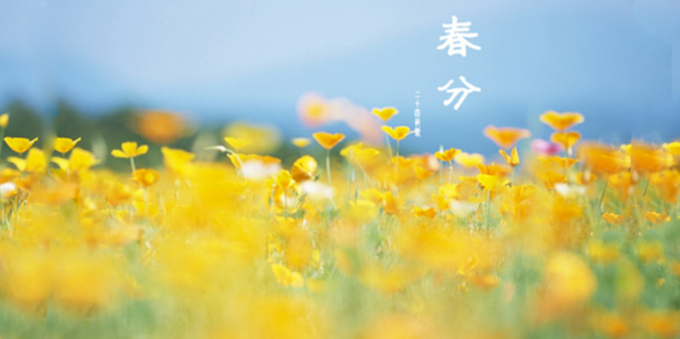 集结！养生号专列，春季始发—鲲澎（中国）春分养生专场直播即将拉开序幕